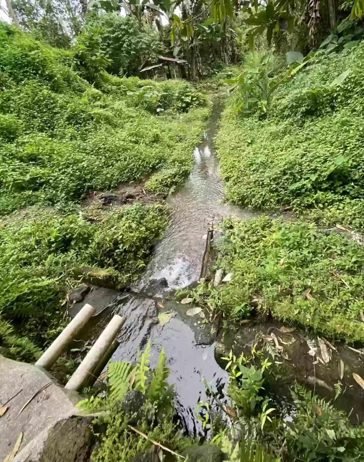 FARMLOT FOR SALE IN TUPI SOUTH COTABATO — Agricultural Lot in Tupi, South Cotabato, Philippines — Photo 3