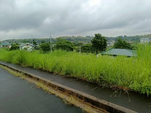 040-2024005564 — Residential Lot in San Jose del Monte, Bulacan, Philippines — Photo 3