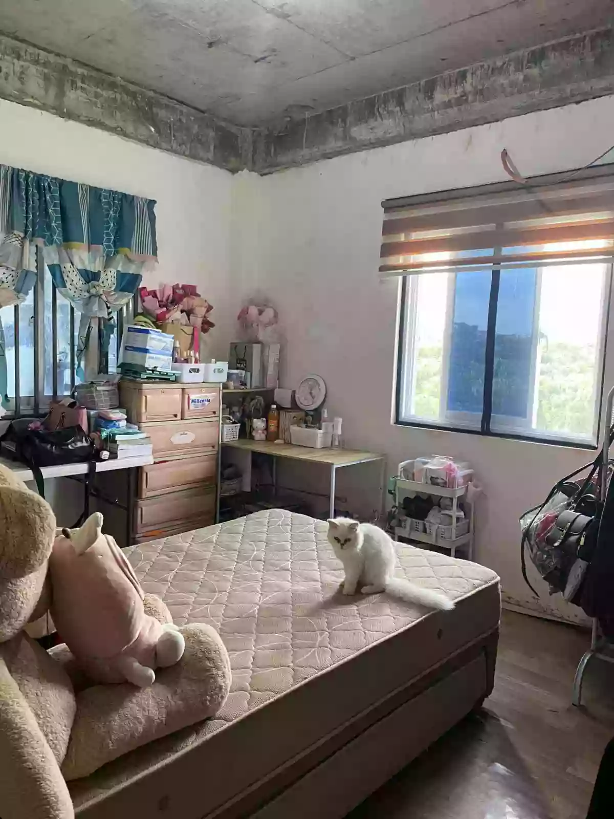 House and Lot for Sale in Capitol Plains — House and Lot in Pili, Camarines Sur, Philippines — Photo 5