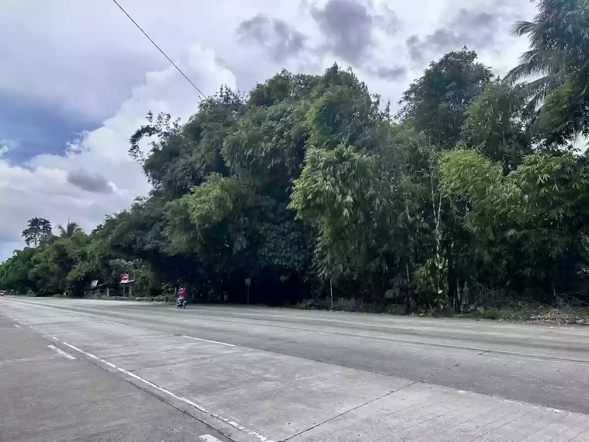 ALONG NATIONAL HIGHWAY — Commercial Lot in Tupi, South Cotabato, Philippines — Photo 4