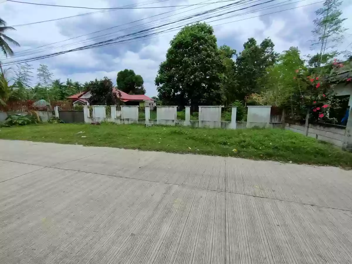 Lot for Sale in Batinguel, Dumaguete City, Negros Oriental — Residential Lot in Dumaguete, Negros Oriental, Philippines — Photo 2
