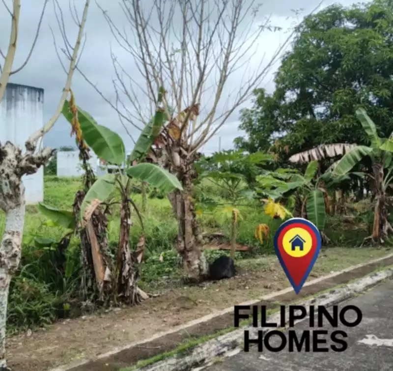 RESIDENTIAL LOT FOR SALE — Residential Lot in Naga City, Camarines Sur, Philippines — Photo 3