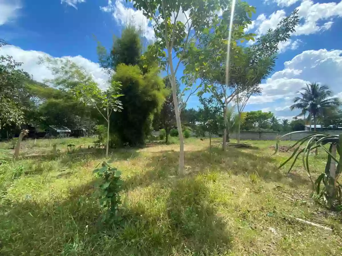 For Sale: Prime Vacant Lot — Agricultural Lot in TANGHAL COUNTRY HOMES, General Santos City, South Cotabato — Photo 3
