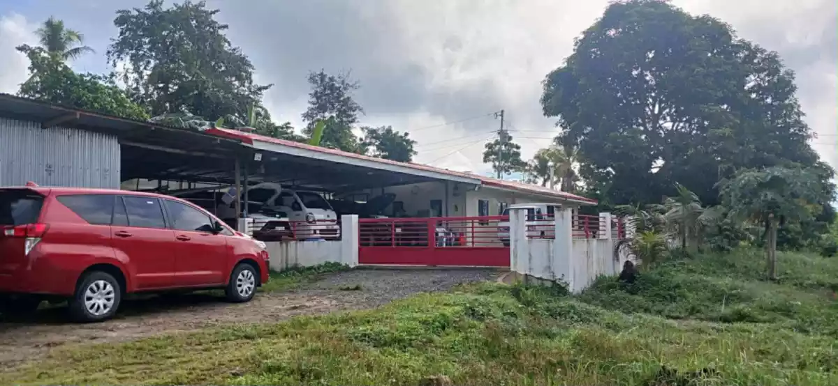 Farm Lot for Sale in Sogod, Cebu — Agricultural Lot in Sogod, Cebu, Philippines — Photo 2