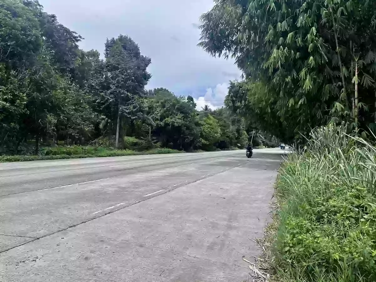 ALONG NATIONAL HIGHWAY — Commercial Lot in Tupi, South Cotabato, Philippines — Photo 3