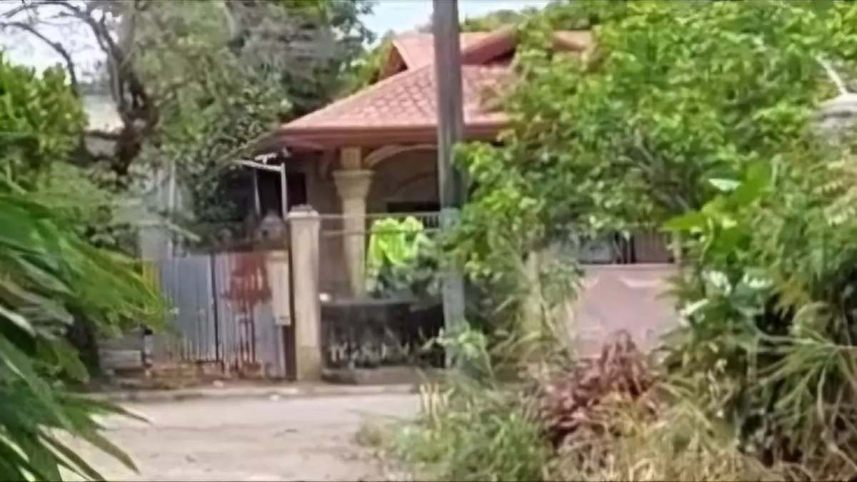 Santa Catalina Homes Lot Only in Bago City near Bago City College — Residential Lot in Bago, Negros Occidental, Philippines — Photo 4