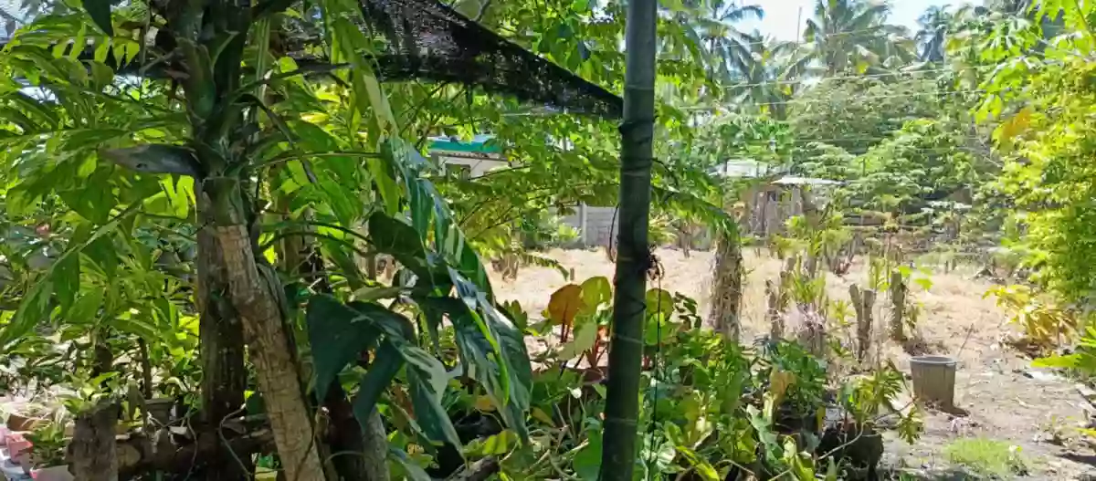 HOUSE AND LOT FOR SALE IN PUROK 13 KATANGGAWAN — Residential Lot in General Santos City, South Cotabato, Philippines — Photo 3