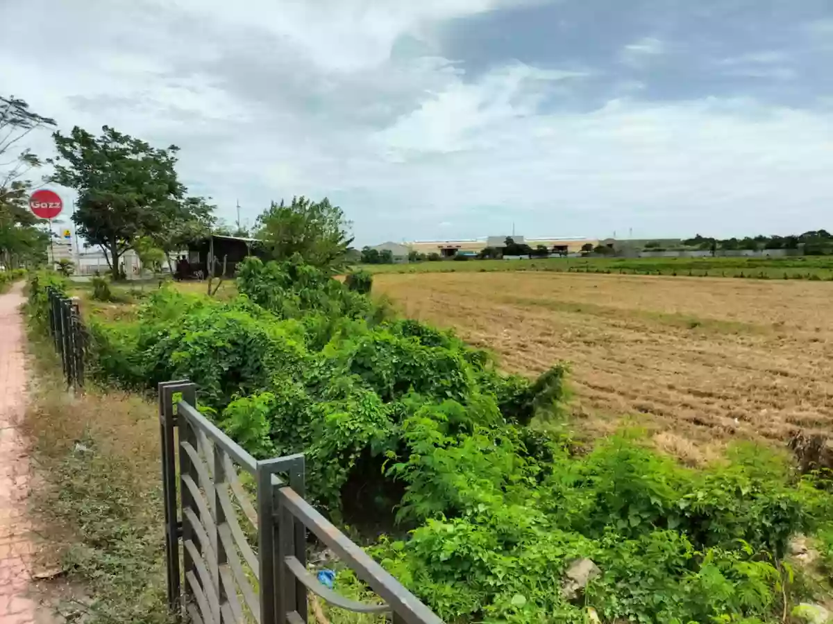 Open photo 12 of 24 — circumferential Road Tacas Jaro