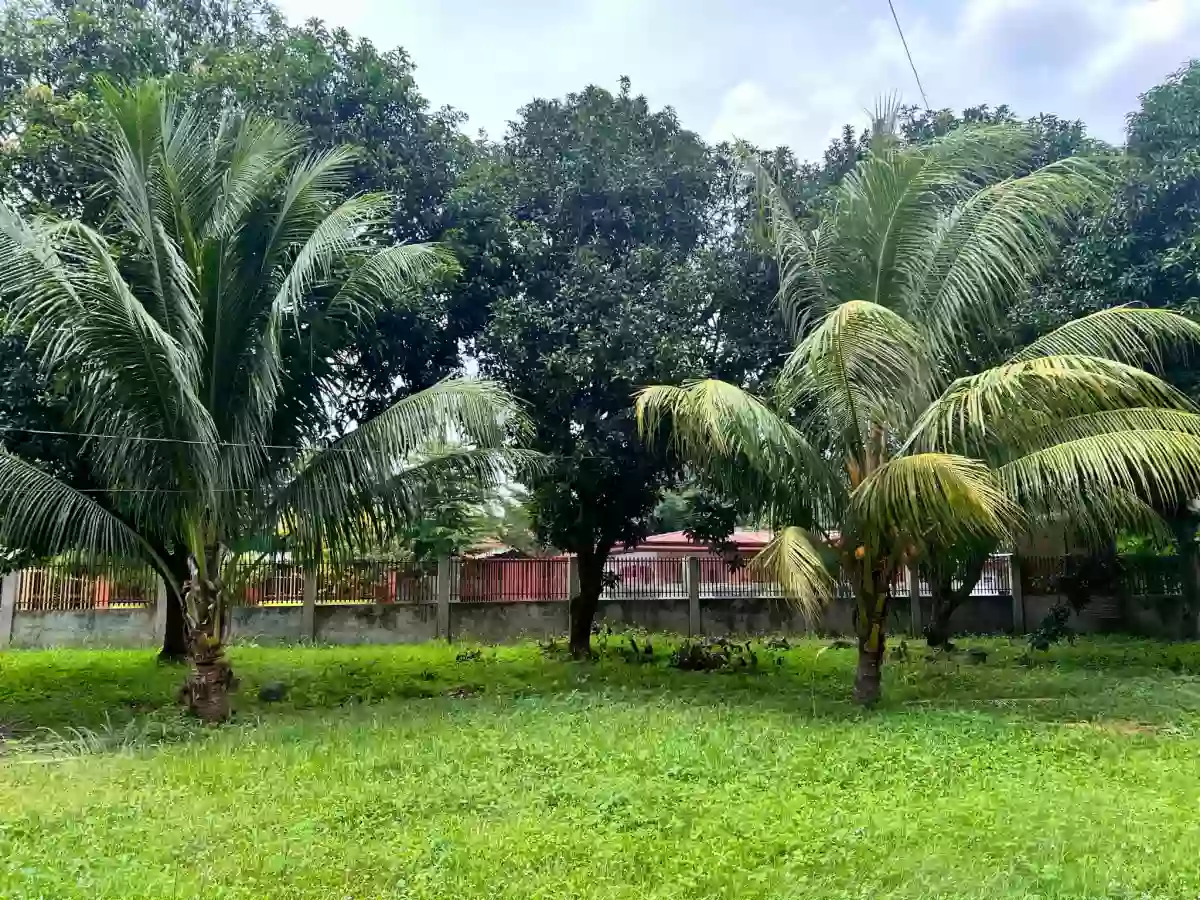LOT FOR SALE IN BATAAN, DIGOS CITY (LOCATED NEAR GOVERNMENT ESTABLISHMENTS) — Commercial Lot in Digos City, Davao del Sur, Philippines — Photo 4
