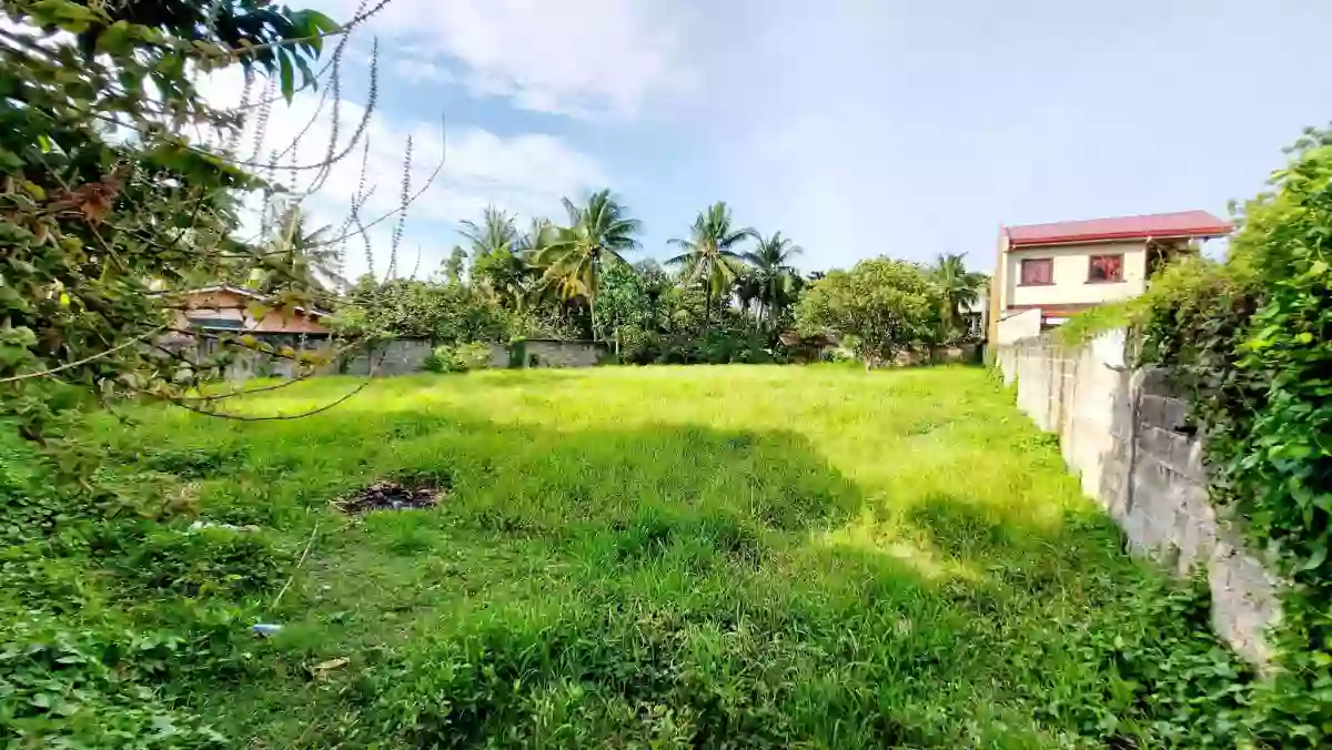 Lot for sale in Dumlog Talisay City