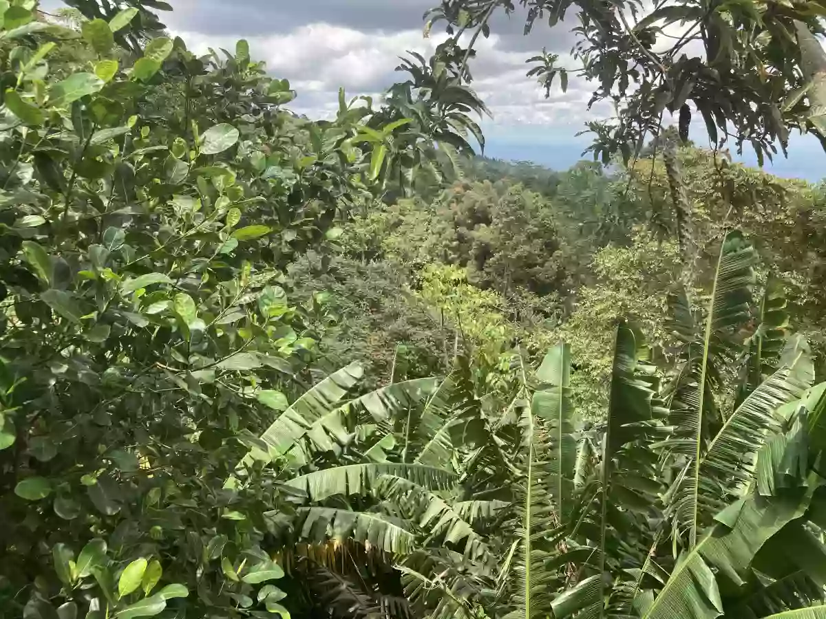 LOT FOR SALE IN SIRAWAN TORIL — Residential Lot in Toril, Davao City, Davao del Sur — Photo 2