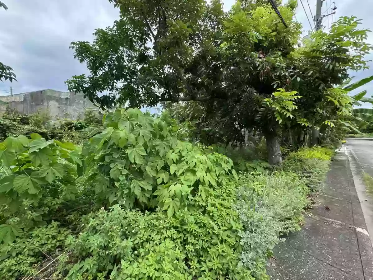 300 sqm LOT FOR SALE at Vistamar — Residential Lot in Lapu-lapu City, Cebu, Philippines — Photo 3