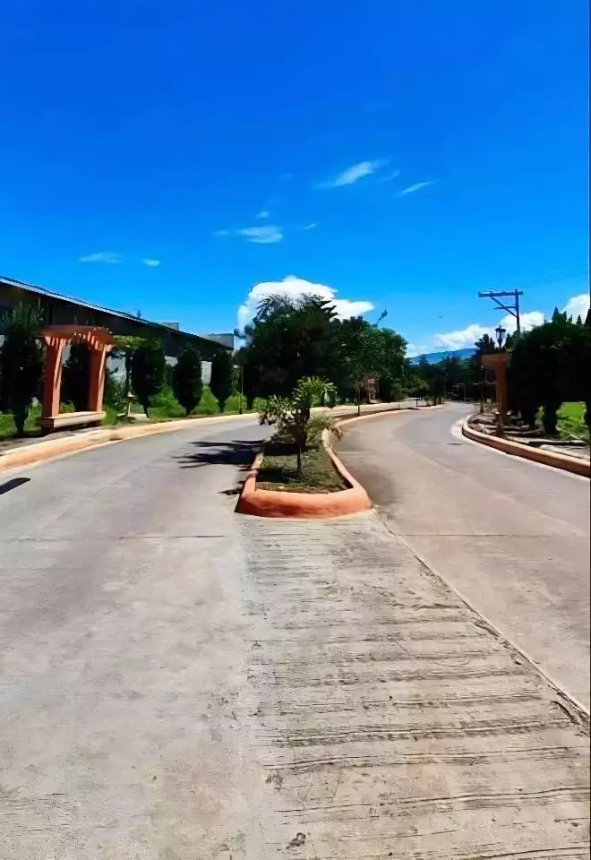 136SQM Clean Title Lot Only For Sale at Camella Toscana, Puan — Residential Lot in Libby Road, Talomo, Davao City — Photo 3