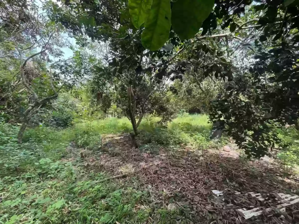 Granada Lot For Sale