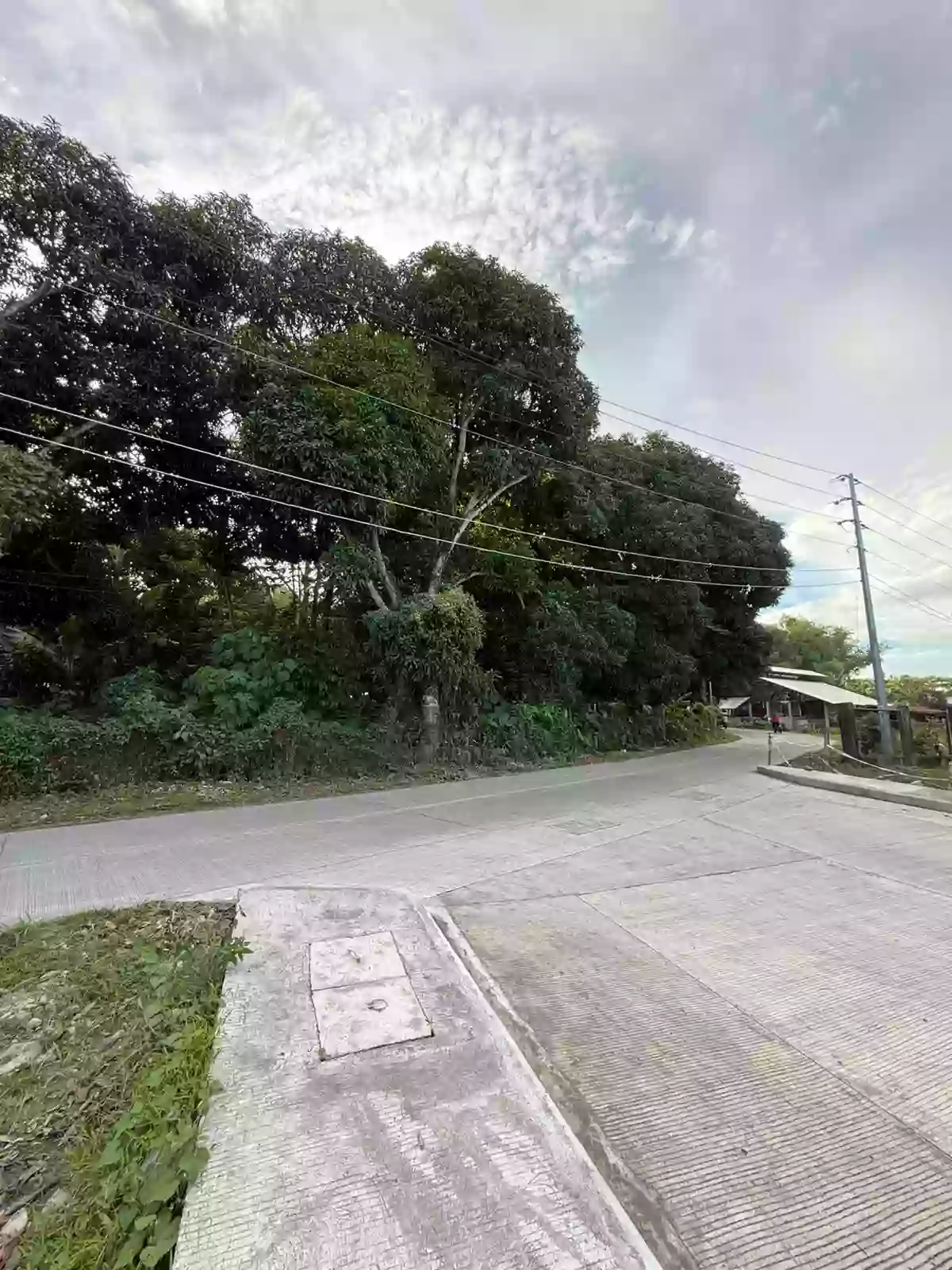 LOT FOR SALE – PRIME LOCATION IN TALAY, DUMAGUETE CITY