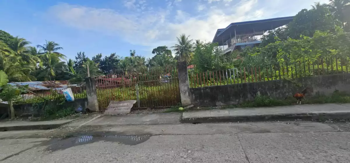 COMMERCIAL LOT FOR RENT AT TABOC CAMALIGBATO DANAO CITY