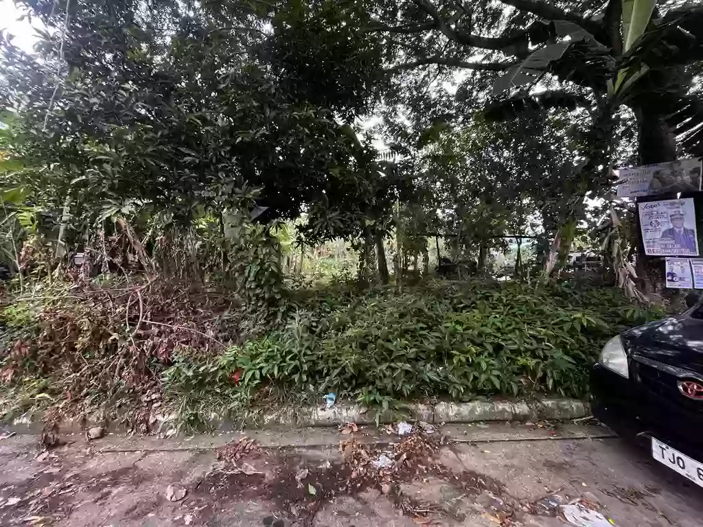 LOt 1, BLK 6, St.Paul Subdivision — Residential Lot in Pili, Camarines Sur, Philippines — Photo 5