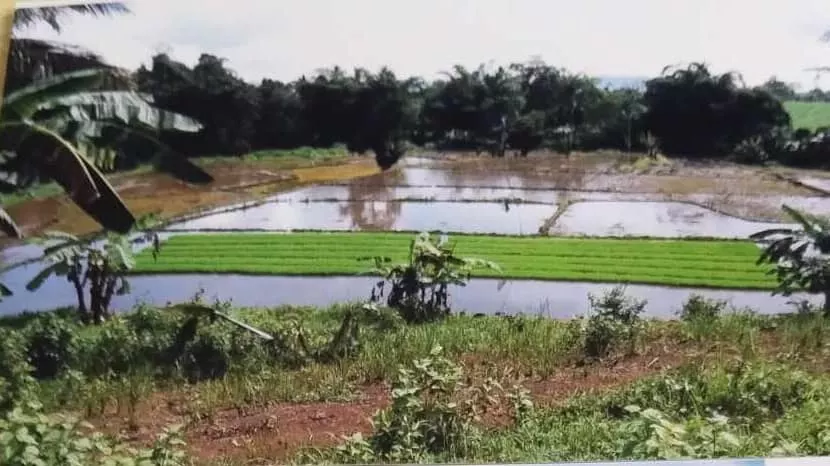 ORMOC FARM LOT FOR SALE