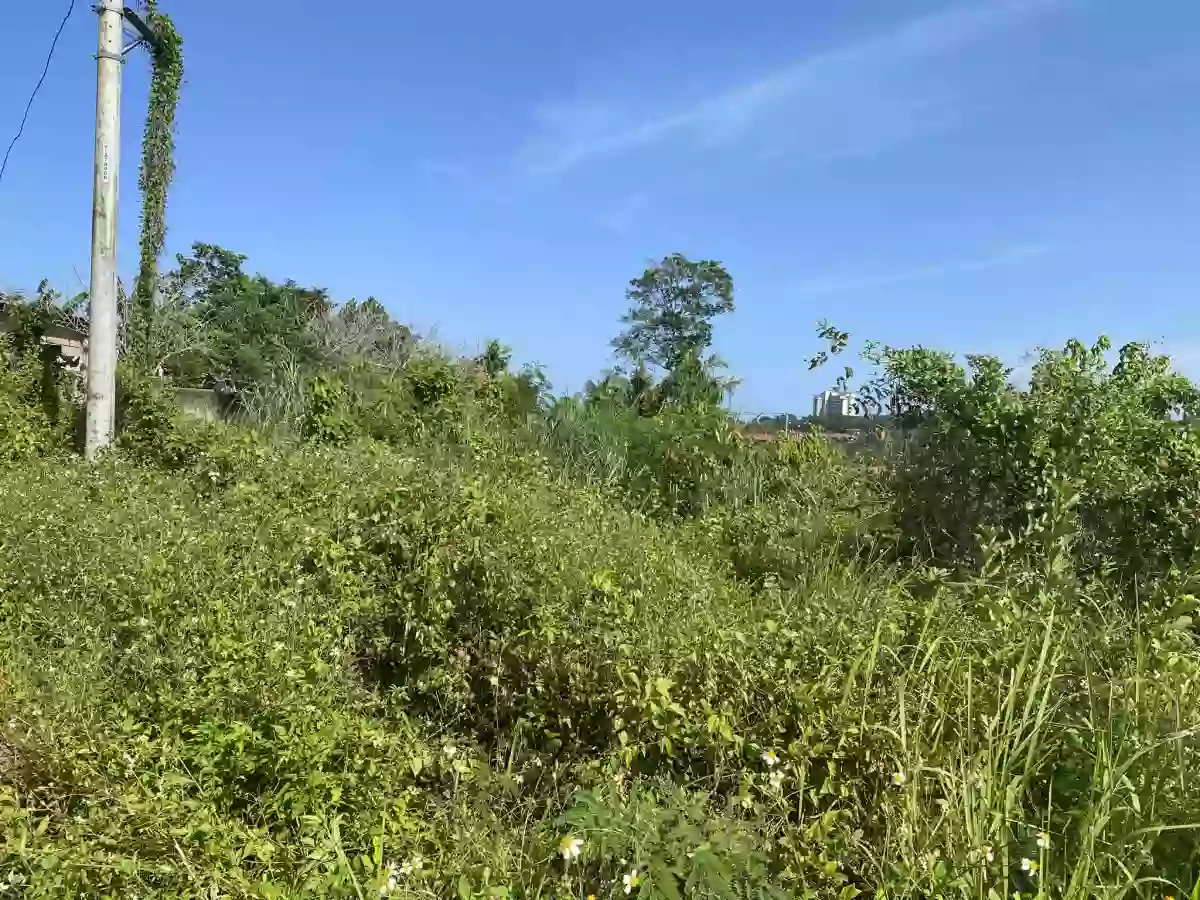 200 sq mt LOT FOR SALE – El Monte Grande Heights