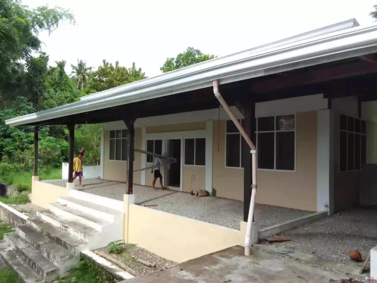 4,934 sqm Prime Lot with Ocean View & Highway Frontage in Badian, Cebu (Near Kawasan Falls) — House and Lot in Badian, Cebu, Philippines — Photo 4