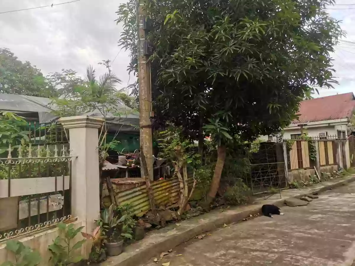 For Sale: Residential Lot in San Felipe, Naga City — 120 sqm — Residential Lot in Naga, Camarines Sur, Philippines — Photo 2