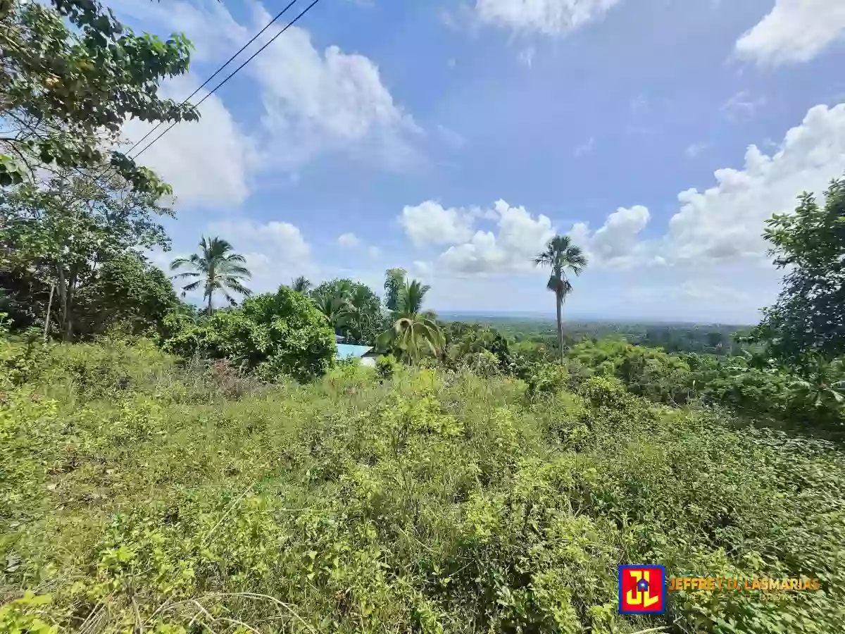 Rush Sale! Amazing Overlooking Lot in Palinpinon, Valencia [available] — Agricultural Lot in Negros Oriental, Philippines — Photo 4