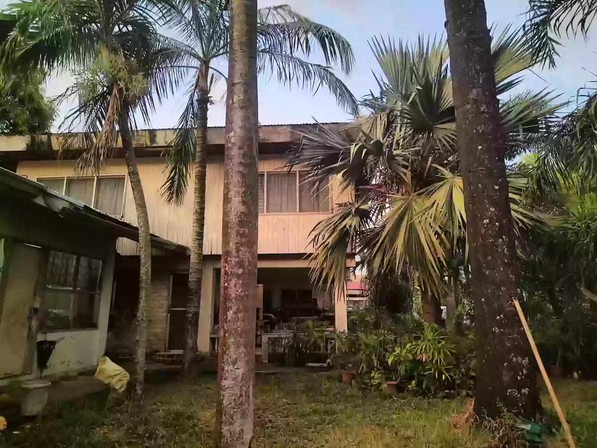 Huge 1,050 sqm Lot in Villa Arevalo – Prime Investment! — Residential Lot in Osmeña Street, Arevalo, Iloilo City — Photo 5