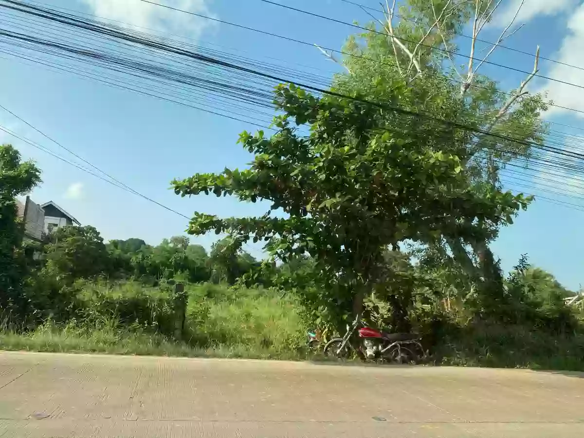 Titled — Commercial Lot in Panglao, Bohol, Philippines — Photo 2