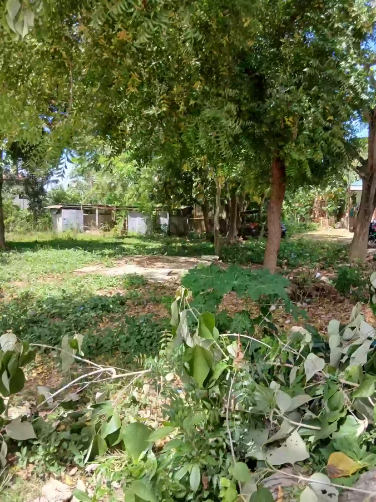 Residential Lot for sale