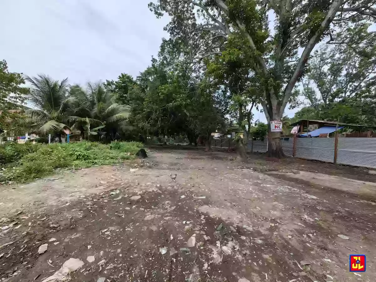 Rush Sale Commercial Lot in Batinguel, Dumaguete [available] — Residential Lot in Negros Oriental, Philippines — Photo 4