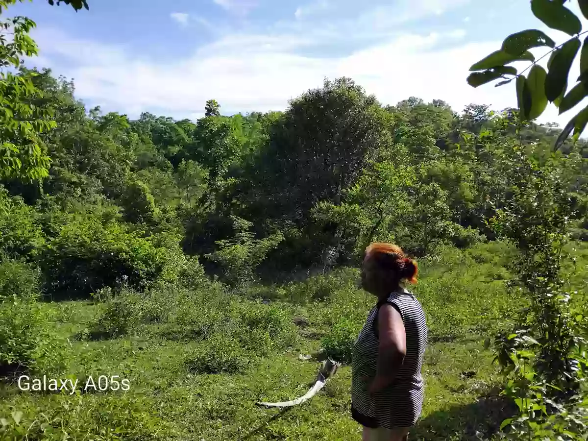 Land for Sale — Agricultural Lot in Guimaras, Philippines — Photo 6