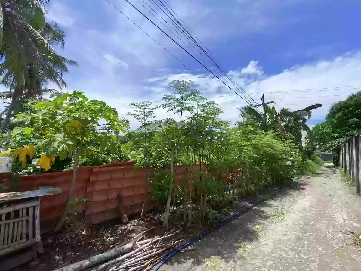 Titled Lot FOR SALE — Residential Lot in Danao City, Cebu, Philippines — Photo 3