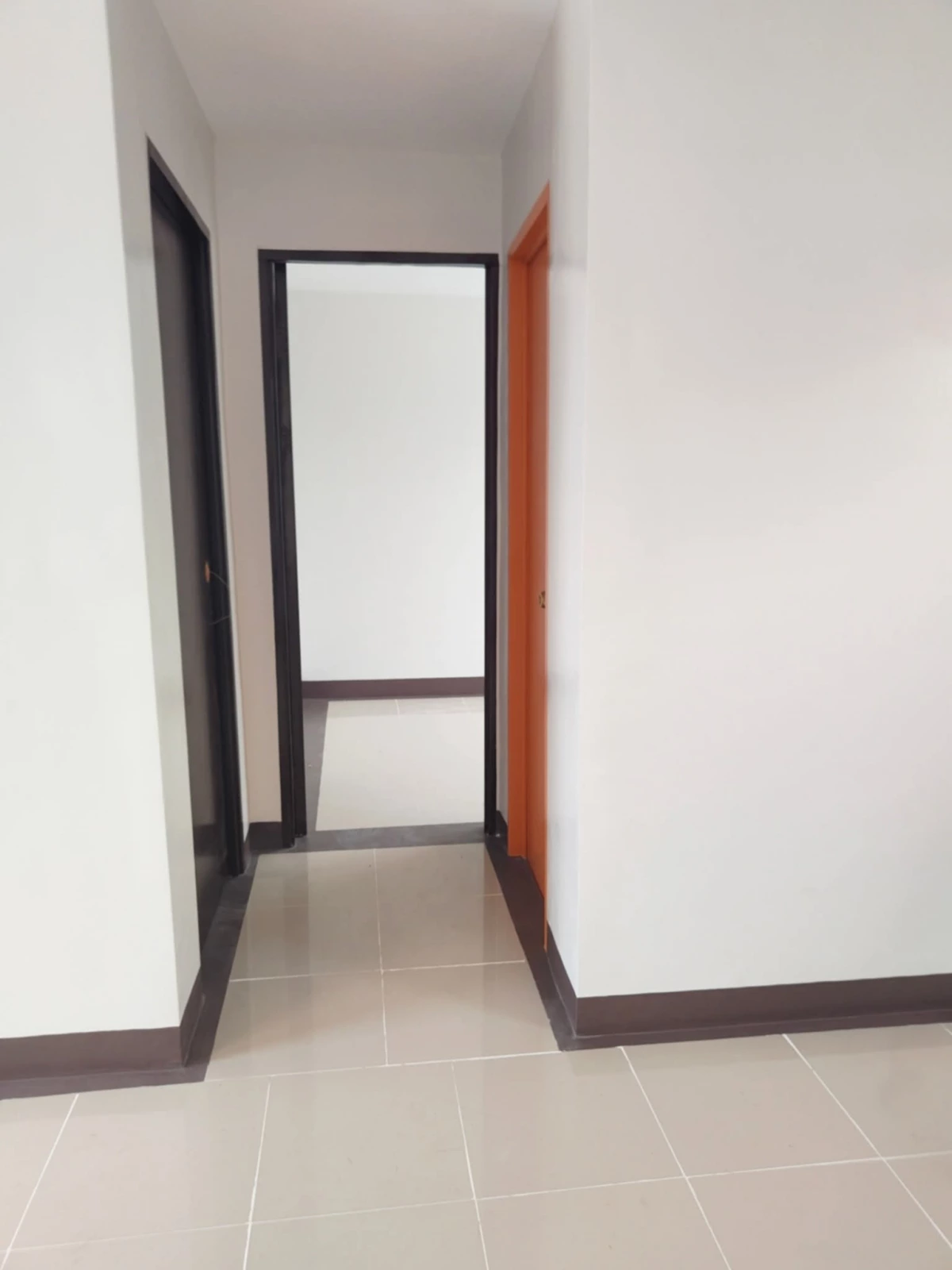 BRAND NEW FULLY FURNISHED HOUSE AND LOT FOR SALE IN MANDURRIAO ILOILO CITY — House and Lot in Iloilo City, Iloilo, Philippines — Photo 4