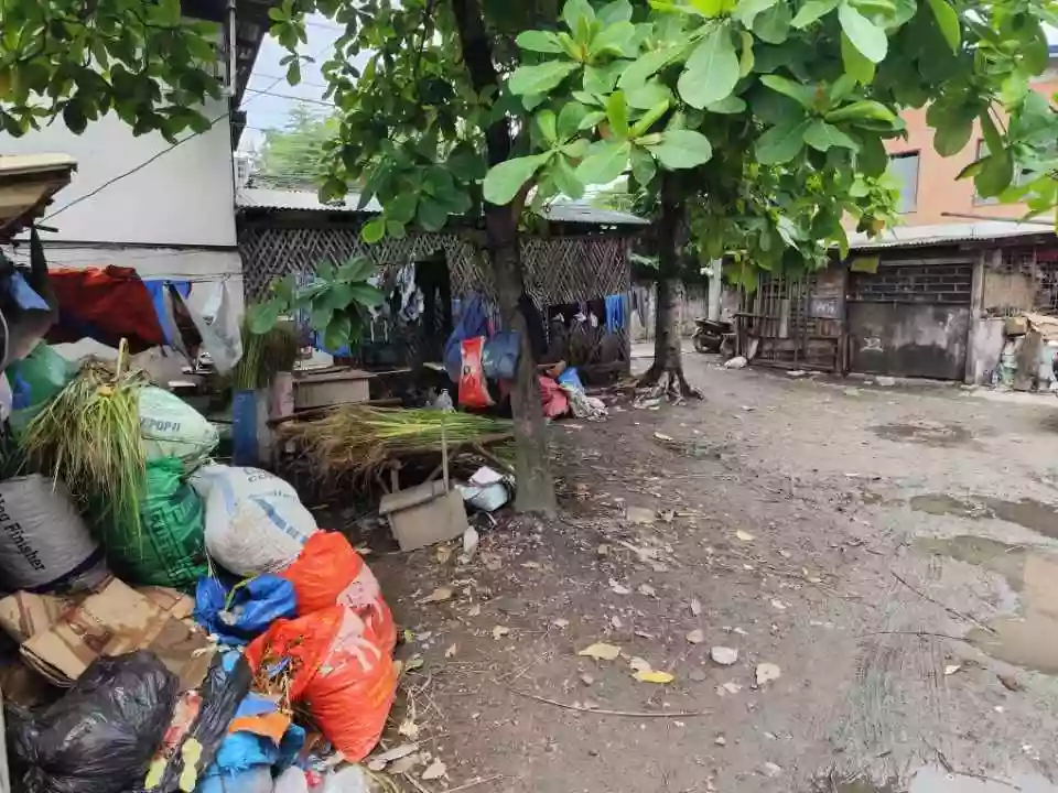 Prime Commercial Lot for Sale along Mandaue National Highway, Cebu — Commercial Lot in Mandaue City, Cebu, 6014 — Photo 3