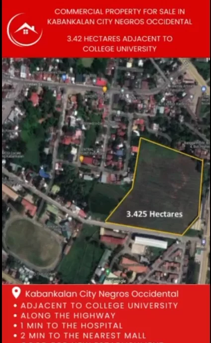 3.423 Hectares Lot for sale — Agricultural Lot in Negros Occidental, Philippines — Photo 5