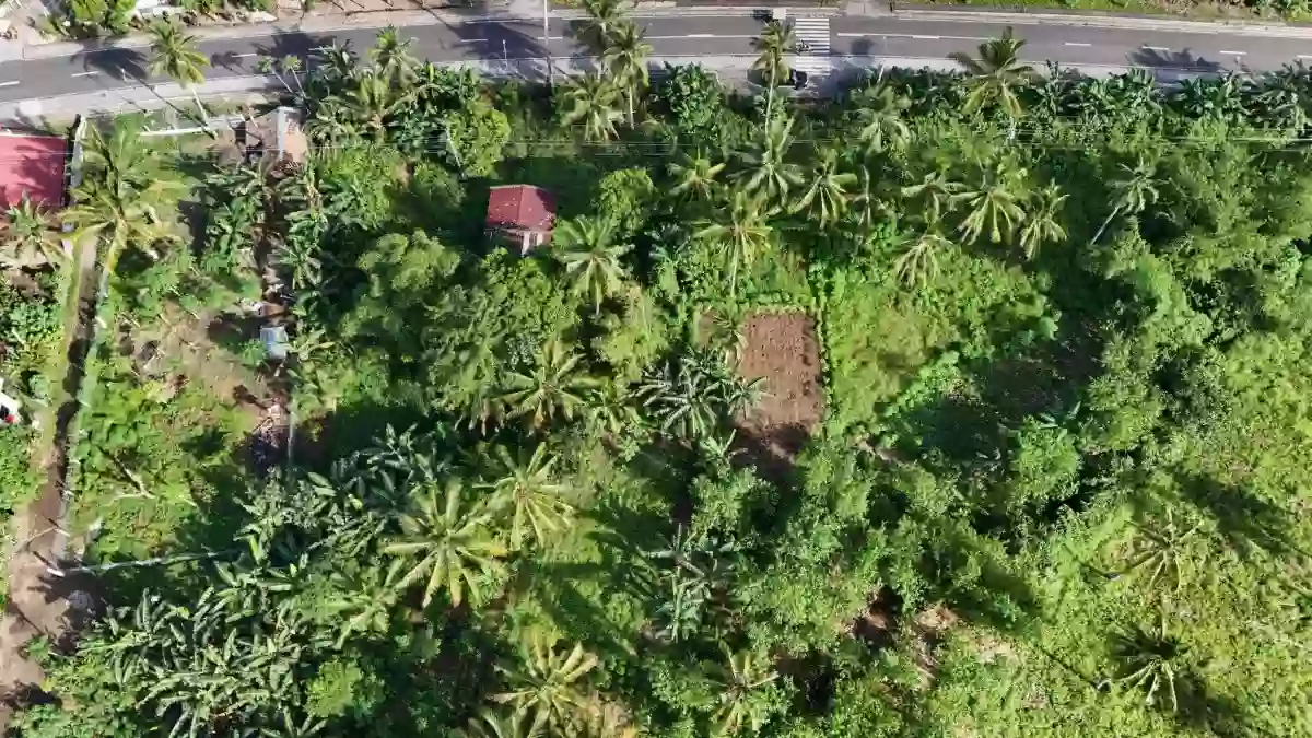 LOT 3-B — Agricultural Lot in Governor Jose T. Fuentebella National Highway, Tigaon, Camarines Sur — Photo 2
