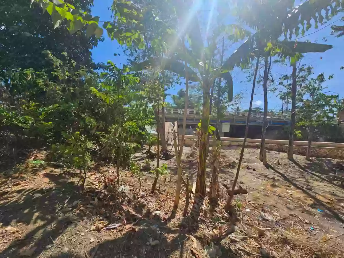 FOR SALE COMMERCIAL LOT AT TABOC DANAO CITY 