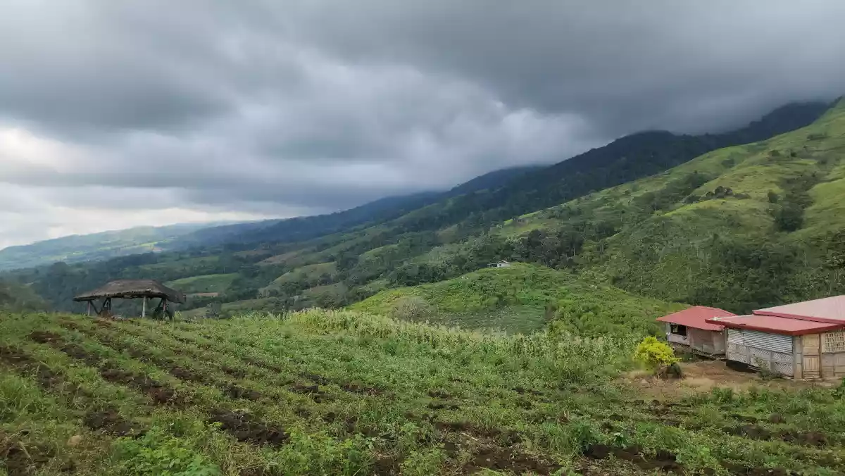 2.2 Hectares Farm Lot with 360° View in Basak, Lantapan, Bukidnon