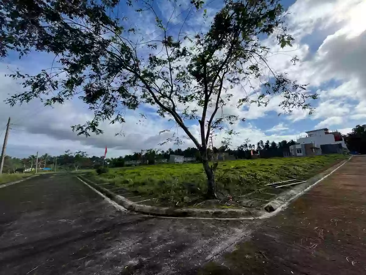 169 SQ.M_Johnville Subdivision_Residential Lot — Residential Lot in Goa, Camarines Sur, Philippines — Photo 3