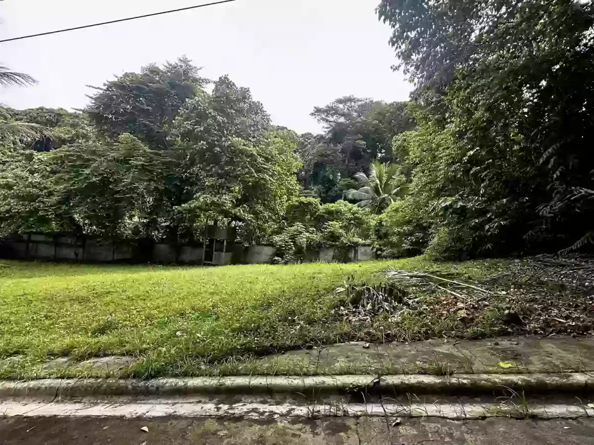 La Vista Monte 2 Lot Only — Residential Lot in Matina Pangi Road, Talomo, Davao City — Photo 4