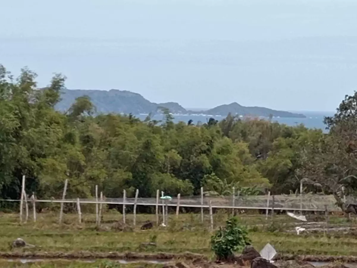 ZAMBOANGUITA NEGROS ORIENTAL Farm Lot for Sale!!! — Agricultural Lot in Negros Oriental, Philippines — Photo 5