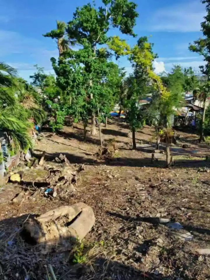 Consolacion Lot Only for Sale — Residential Lot in Consolacion, Cebu, Philippines — Photo 7