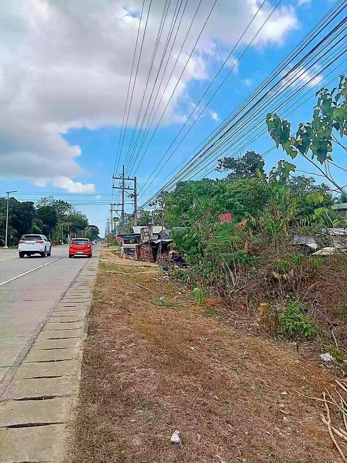 lim wilcon — Agricultural Lot in Dauis, Bohol, Philippines — Photo 2