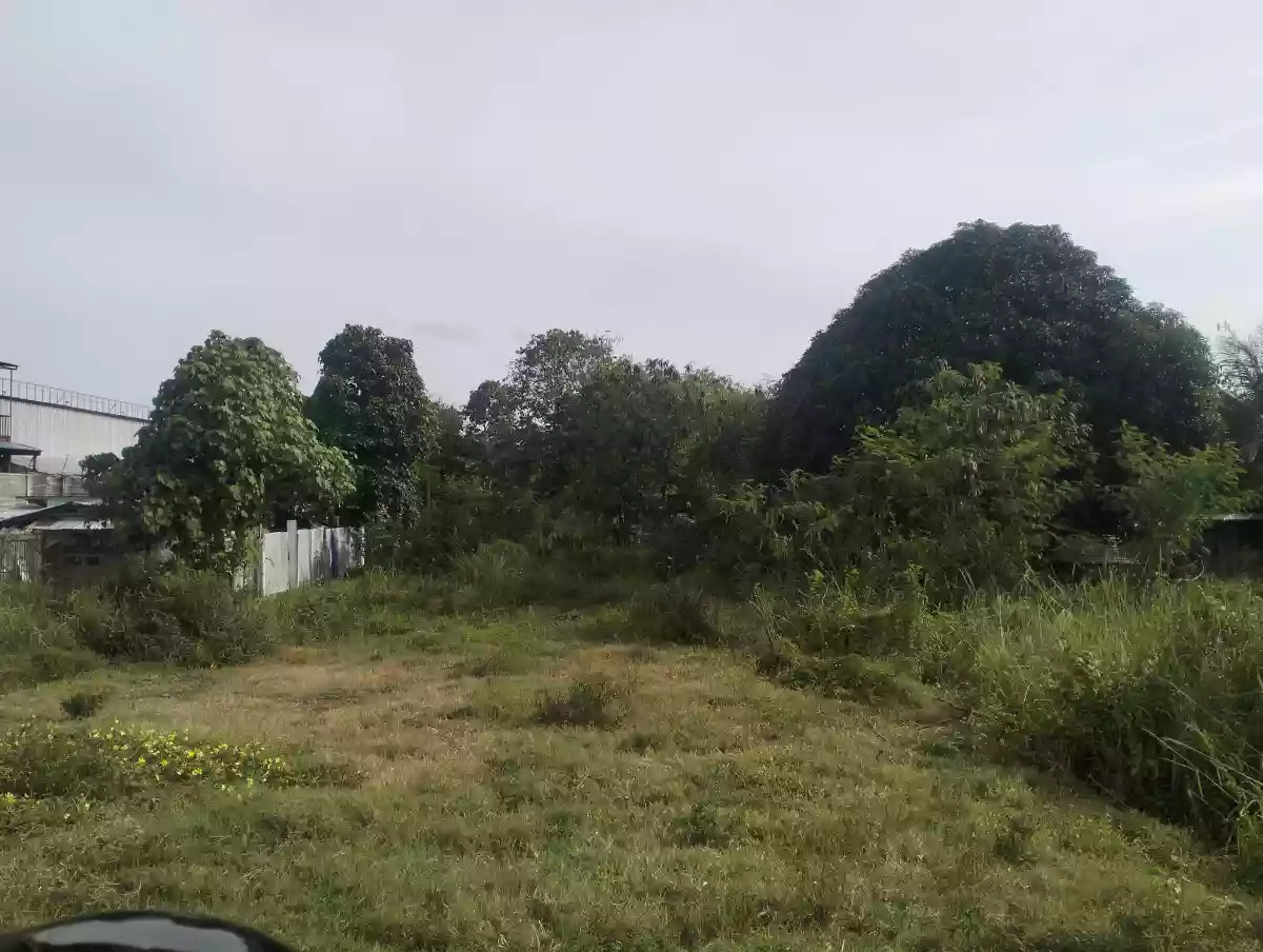 Commercial lot for sale in General Santos City — Commercial Lot in General Santos City Circumferential Road, General Santos City, South Cotabato — Photo 4