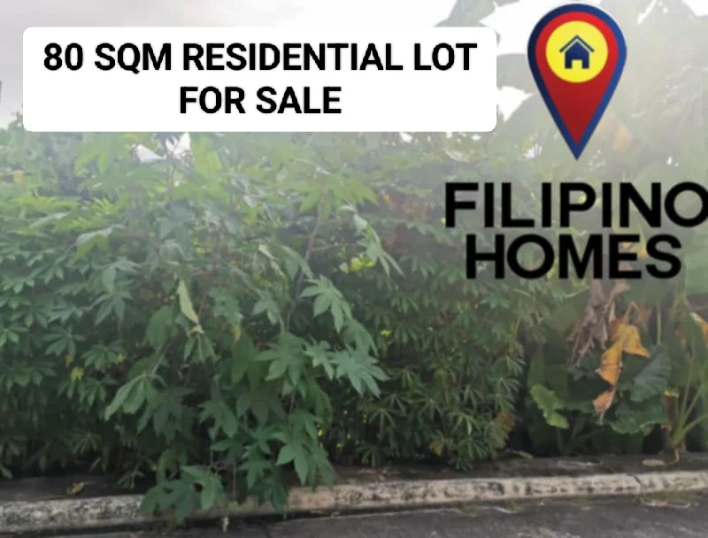 RESIDENTIAL LOT FOR SALE — Residential Lot in Naga City, Camarines Sur, Philippines — Photo 4