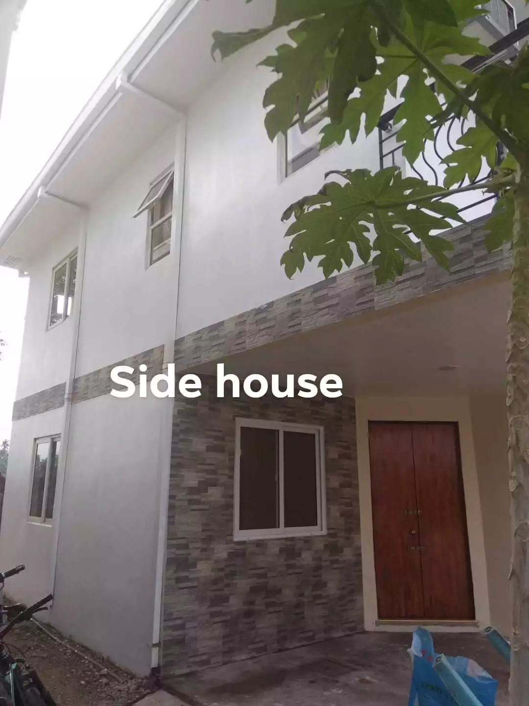 Palm river subdivision biasong talisay — House and Lot in Talisay, Cebu, Philippines — Photo 2