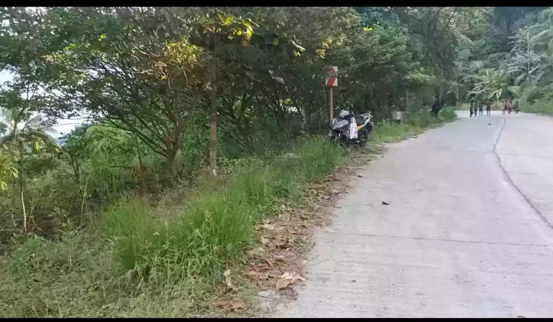 Exclusive Beachfront Property in Samal: Your Private Paradise Awaits — Beach Lot in Island Garden City of Samal, Davao del Norte, Philippines — Photo 5
