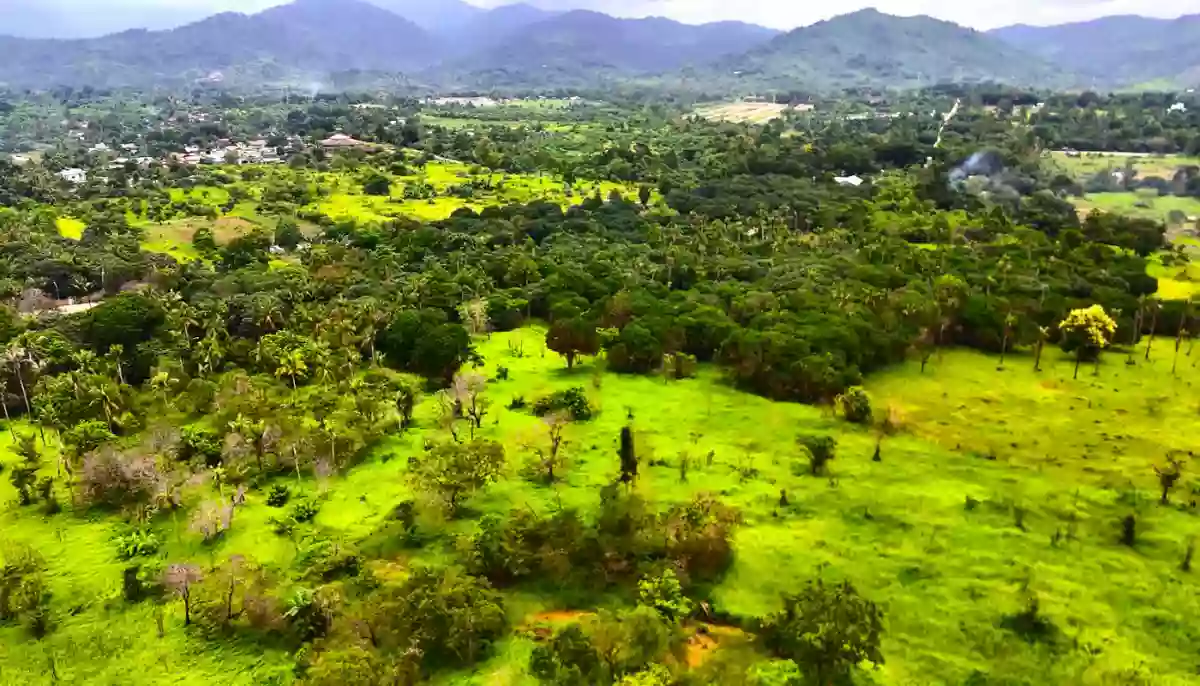 PRIME LOT STA.MONICA PUNTA PRINCESA PALAWAN FOR SALE!