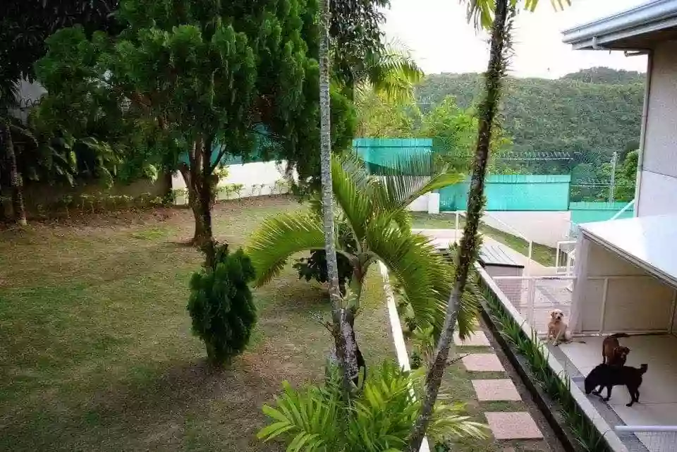 Open photo 13 of 13 — MA. LUISA ESTATE PARK HOUSE FOR SALE/RENT