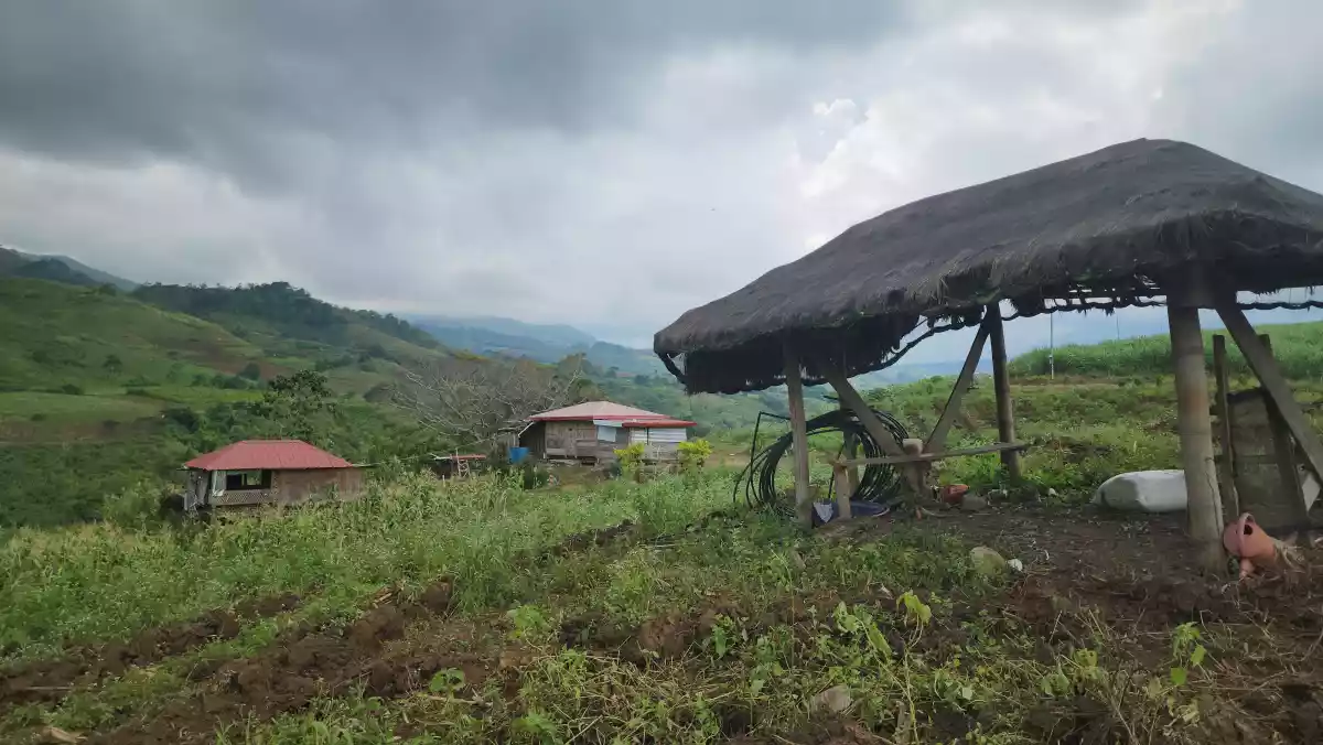 Open photo 18 of 18 — 2.2 Hectares Farm Lot with 360° View in Basak, Lantapan, Bukidnon